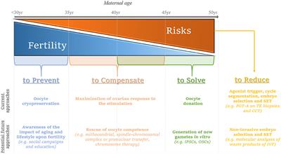 Advanced Maternal Age in IVF: Still a Challenge? The Present and the Future of Its Treatment